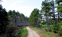 Photo of Rustic Road 102 taken by Ken Zingg