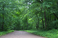 Photo of Rustic Road 103 taken by Debra A. Walters