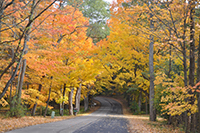 Photo of Rustic Road 115 taken by Mary E. Yahle