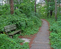 Photo of Rustic Road 16