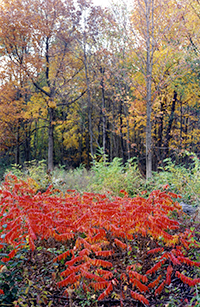 Photo of Rustic Road 25 taken by Ken Zingg