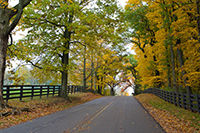 Photo of Rustic Road 29 taken by Sue Boyd