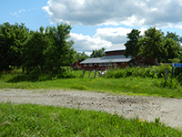 Photo of Rustic Road 37 taken by Jane C. Van Treeck