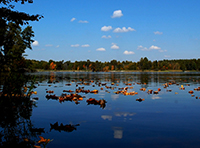 Photo of Rustic Road 45 taken by Katie M. Weisbecker