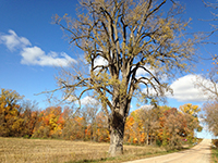 Photo of Rustic Road 53 taken by Eileen A. Rueden