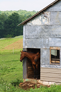 Photo of Rustic Road 56 taken by Colleen E. Grotelueschen