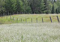 Photo of Rustic Road 58 taken by Glenda Henning