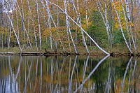 Photo of Rustic Road 61 taken by Ken Zingg