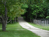 Photo of Rustic Road 65 taken by Jane C. Van Treeck