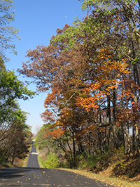 Photo of Rustic Road 68 taken by Marilyn J. Mathison