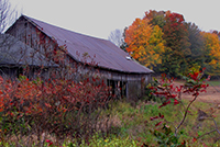 Photo of Rustic Road 6 taken by Don F. Hardy