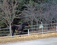 Photo of Rustic Road 72 taken by Jeffrey Kratz