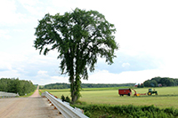 Photo of Rustic Road 73 taken by Christine A. Barkley