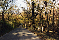 Photo of Rustic Road 81 taken by Ken Zingg