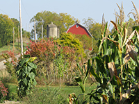 Photo of Rustic Road 84 taken by Marilyn J. Mathison