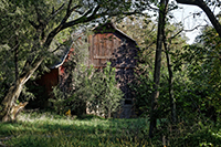 Photo of Cold Springs Historical Marker